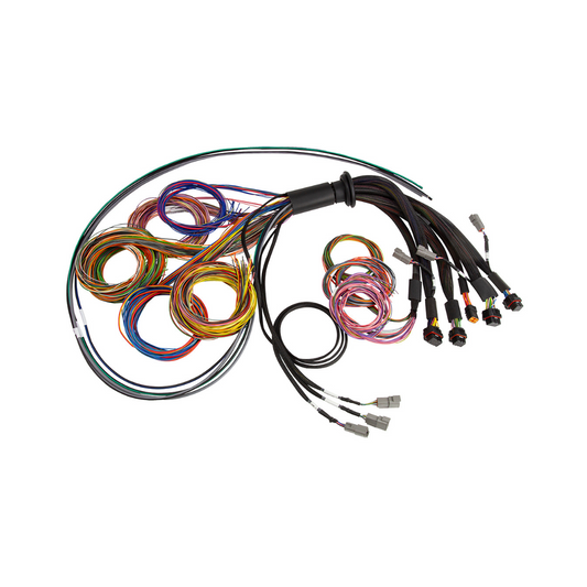 Haltech Nexus R5 wiring harness - 2.5m