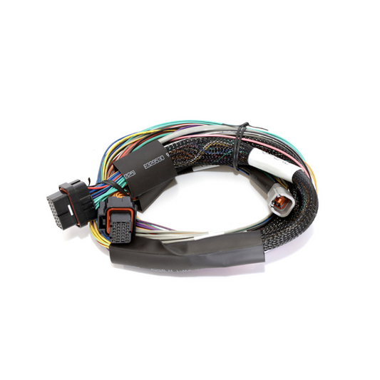 Haltech Elite 2500 wiring harness - basic