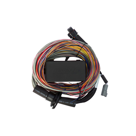 Haltech Elite 550 / 750 wiring harness - premium