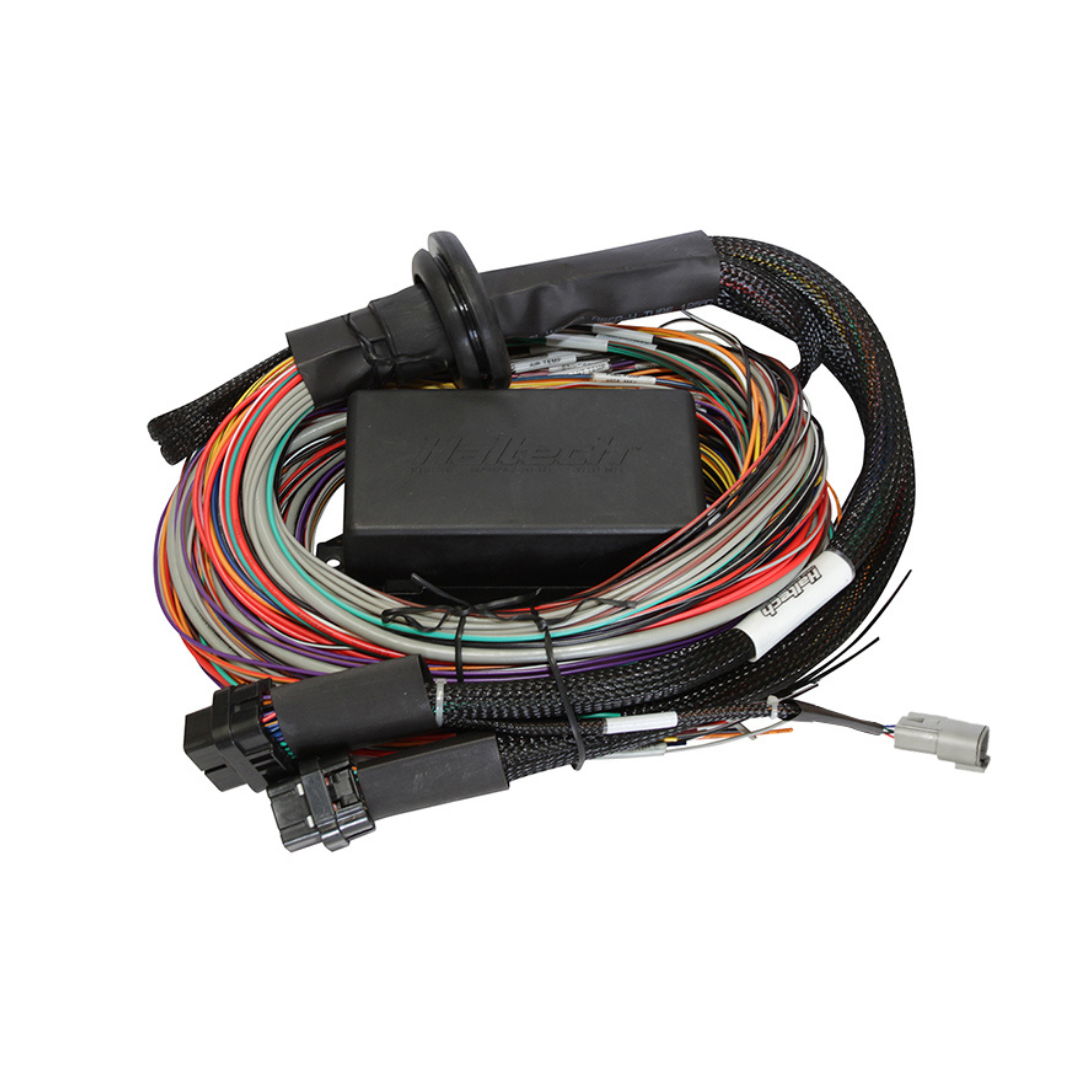 Haltech Elite 1500 wiring harness - premium